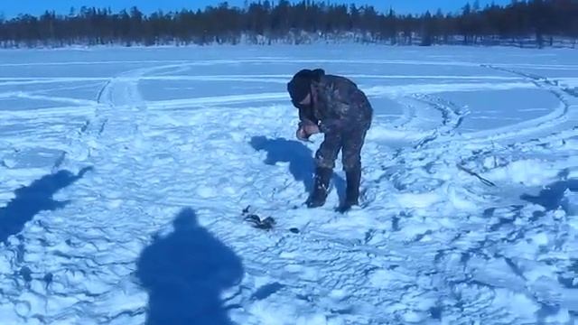 Немножко рыбалки смотреть онлайн