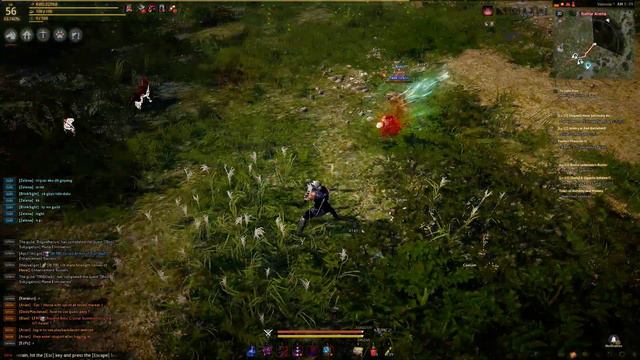 Black Desert Musa is fast смотреть онлайн