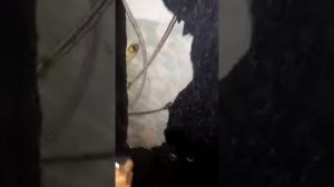 Лопнули стёкла в душевой кабине!!! От чего???