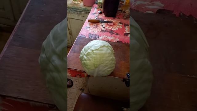 удобное приспособление для шинковки капусты ? смотреть онлайн