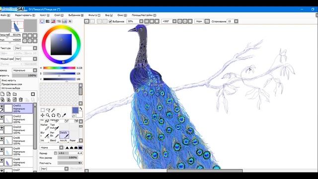 How to Draw a Bird Реасосk in Paint Tool SAI.Как Нарисовать Птицу Павлин. смотреть онлайн