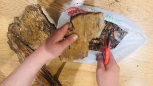 Как легко заготовить/обработать сосновую КОРУ и БЛОКИ?для ОРХИДЕЙ