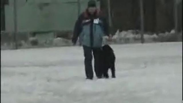 Джентли Бон Евразия, Кубок Легиона - 2008, раздел B