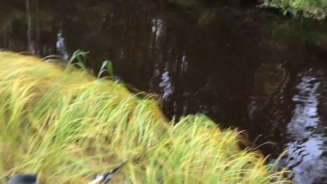 КАЛЯН86 ,Север , Рыбалка ) смотреть онлайн