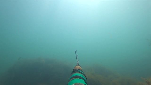 ГИГАНТСКИЕ КОСЯКИ КРУПНОГО ЛОБАНА. ПОДВОДНАЯ ОХОТА ЧЕРНОЕ МОРЕ 2017 смотреть онлайн