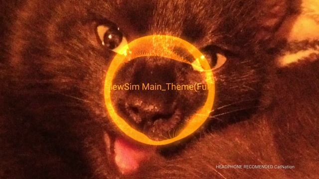 MewSim Main Theme фулл смотреть онлайн