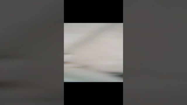 наш автопарк