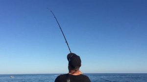 Как поймать ставриду с берега на черном море.Монтаж и проводка для ставриды.Ловим ставриду в Абхазии