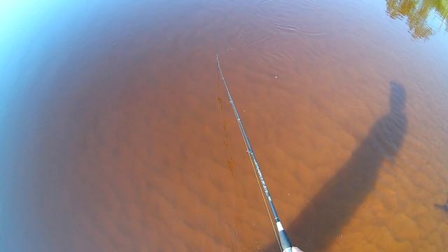 Бешеный клев Язя Full HD ?Рыбалка на язя на спиннинг?Рыбалка на язя на донки?Часть первая смотреть онлайн