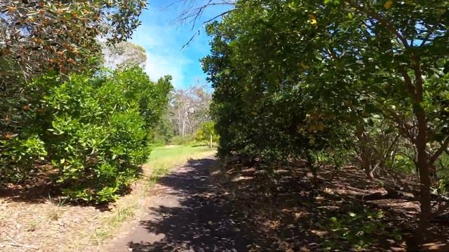 Virtual Run 50 min. Coastal Trails, Australia 4K | Ambient Sound смотреть онлайн