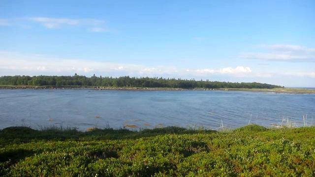 Белое море. Соловки. Волна. Мыс Печак. смотреть онлайн