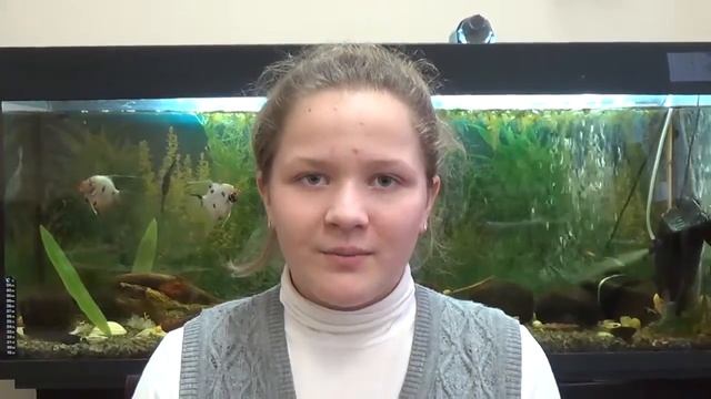 Иван Суриков «Зима» смотреть онлайн