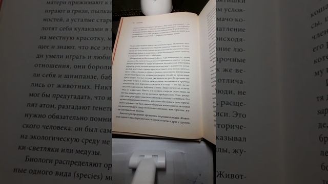 Переводим предложения с русского на английский смотреть онлайн