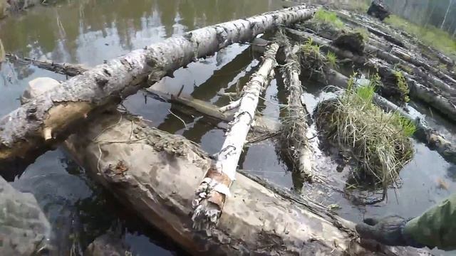 Тепло, светло и грязи много ;) смотреть онлайн