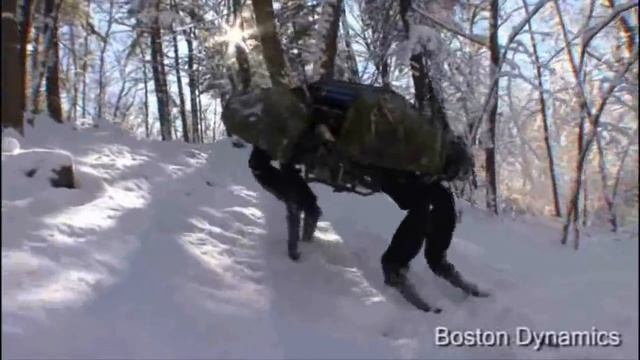 BigDog Overview (Updated March 2010)