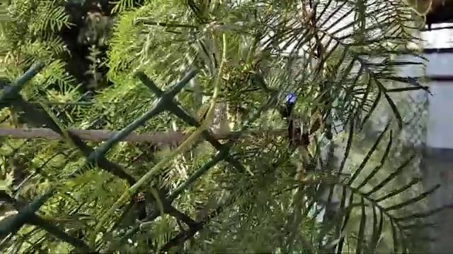 Беседка 6х4 из металла в готовом варианте. смотреть онлайн