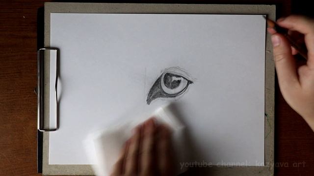 Как нарисовать ГЛАЗ волка карандашом. ПОэтапное рисование смотреть онлайн