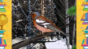 Школа Шишкиного Леса. География. Птицы смешанного леса