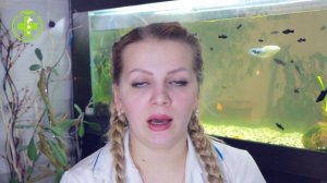 Запор у Кота / Что делать в домашних условиях / Ветклиника Био-Вет