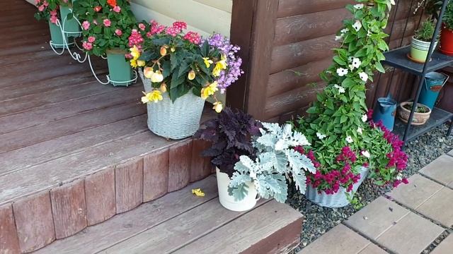 Наша банька-"пряничный домик". смотреть онлайн