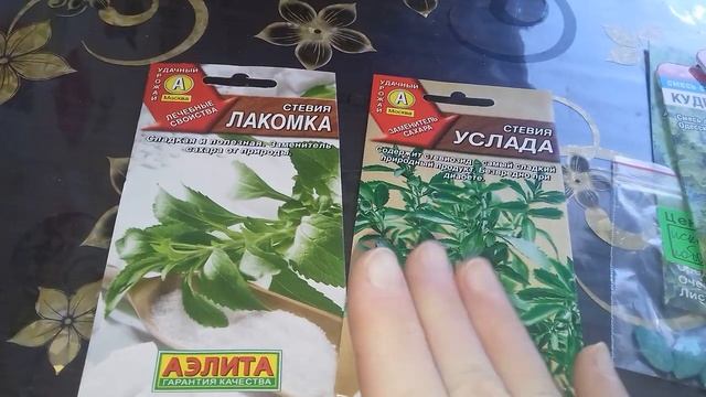 Стевия, что за растение? смотреть онлайн