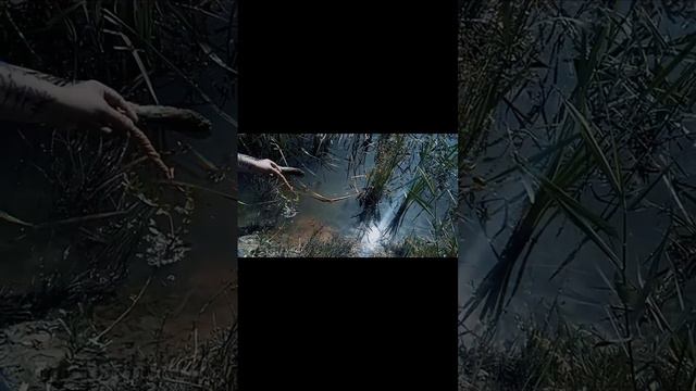 Приветствую тебя дорогой друг подруга вы попали на страницу волшебника без антуража смотреть онлайн