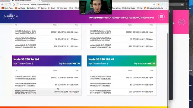Dispatch Labs Testnet and Wallet Walkthrough смотреть онлайн