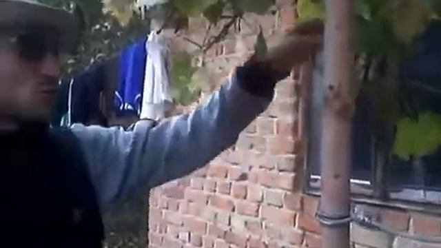 обрезка винограда - веселый фермер #2 смотреть онлайн