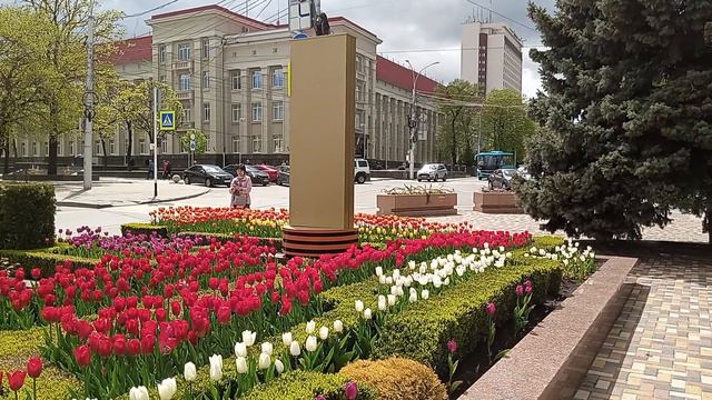 Ставрополь. Город тюльпанов!!! 1.05.2023 г. смотреть онлайн