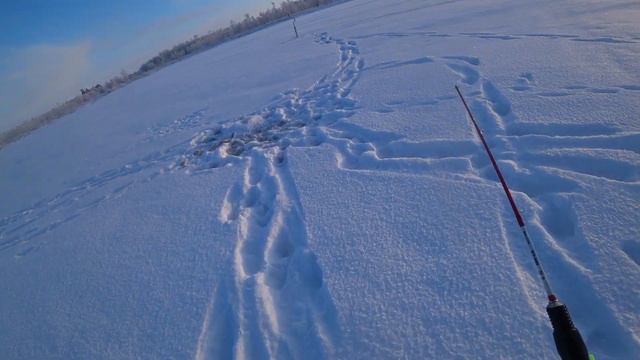 Рыбалка со льда на окуня. Мороз крепчал а клев все не прекращался ). смотреть онлайн