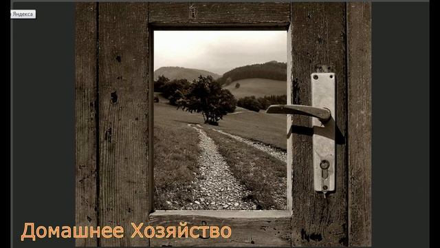 «Жизнь меняется» - Стих - АЛИНА СТЕЦЮК смотреть онлайн