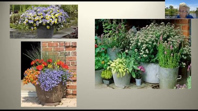 Garden Discoveries: Container Gardening in the Landscape смотреть онлайн