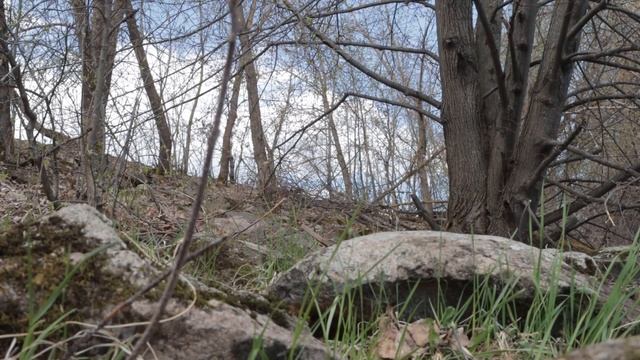 НЕ КЛЮЕТ!  Как уговорить рыбу на поклевку? Отрабатываю гипотезы. ВЕСНА | ФИДЕР | ДОНКА