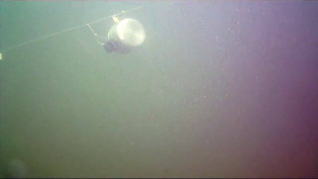 Подводная музыка смотреть онлайн