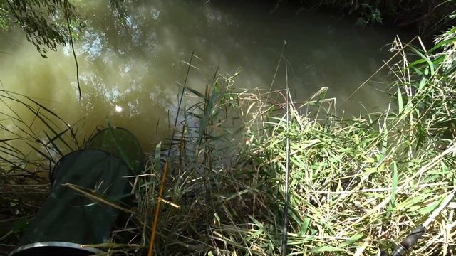 Рыбалка в Алматы. Новое, шикарное место. Качество 4K. смотреть онлайн