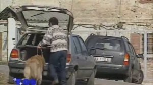 Кавказская овчарка.
