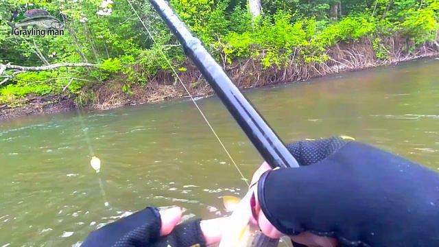 Субботняя рыбалка на хариуса в июне 2024 смотреть онлайн