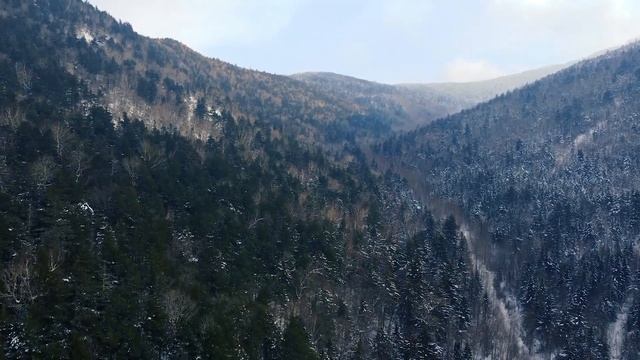 Дорогами Приморского барса. 3 серия. Гора Голец. смотреть онлайн