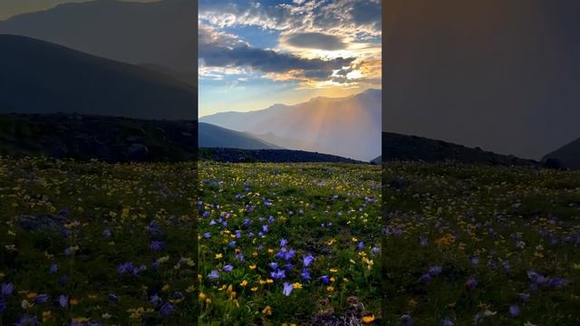 Свободный от всякого рода «если бы только»; Пусть это будет день, когда вы испытаете красоту жизни смотреть онлайн