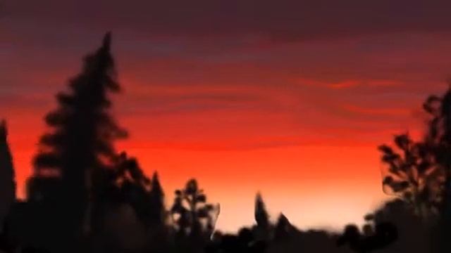 Социальный Анимационный ролик Арсении Кудрявцевой