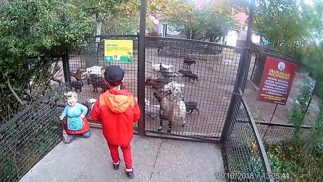 Ялта. Зоопарк "Сказка" смотреть онлайн