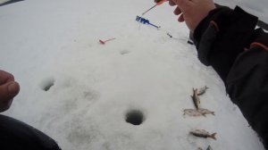 Первая рыбалка на Плотву на Горе море 2023. Горе море.