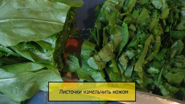 ЗАГОТОВКА ЩАВЕЛЯ НА ЗИМУ- ЗАМОРОЗКА смотреть онлайн
