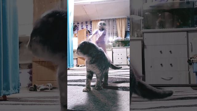 1 декабря 2022 г. смотреть онлайн