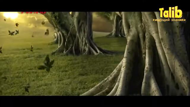 Абдулла ибн Зубайр