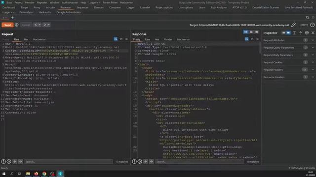 Web Security Academy #086 Blind SQL injection with time delays смотреть онлайн
