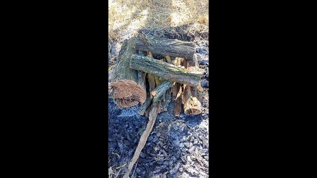 Агротуризм (шутливо о том, чем можно заняться летом в сельской местности) #сельскоехозяйство смотреть онлайн