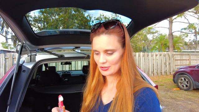 ПОЕХАЛИ НА АМЕРИКАНСКУЮ ФЕРМУ ЗИМОЙ смотреть онлайн