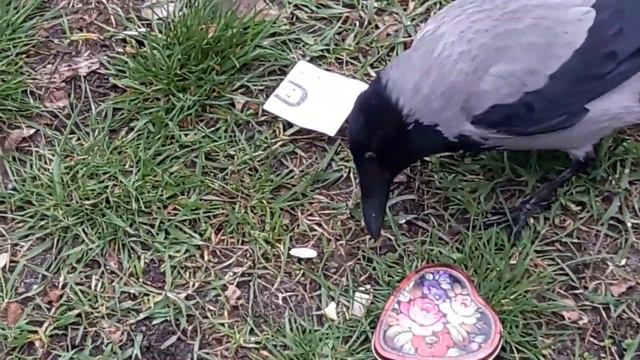 Стрим @SONYAPLAYINGAMES  