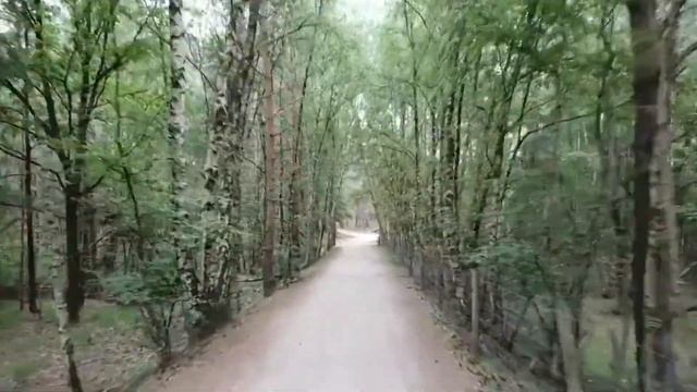 Философская лирика - Интуиция смотреть онлайн